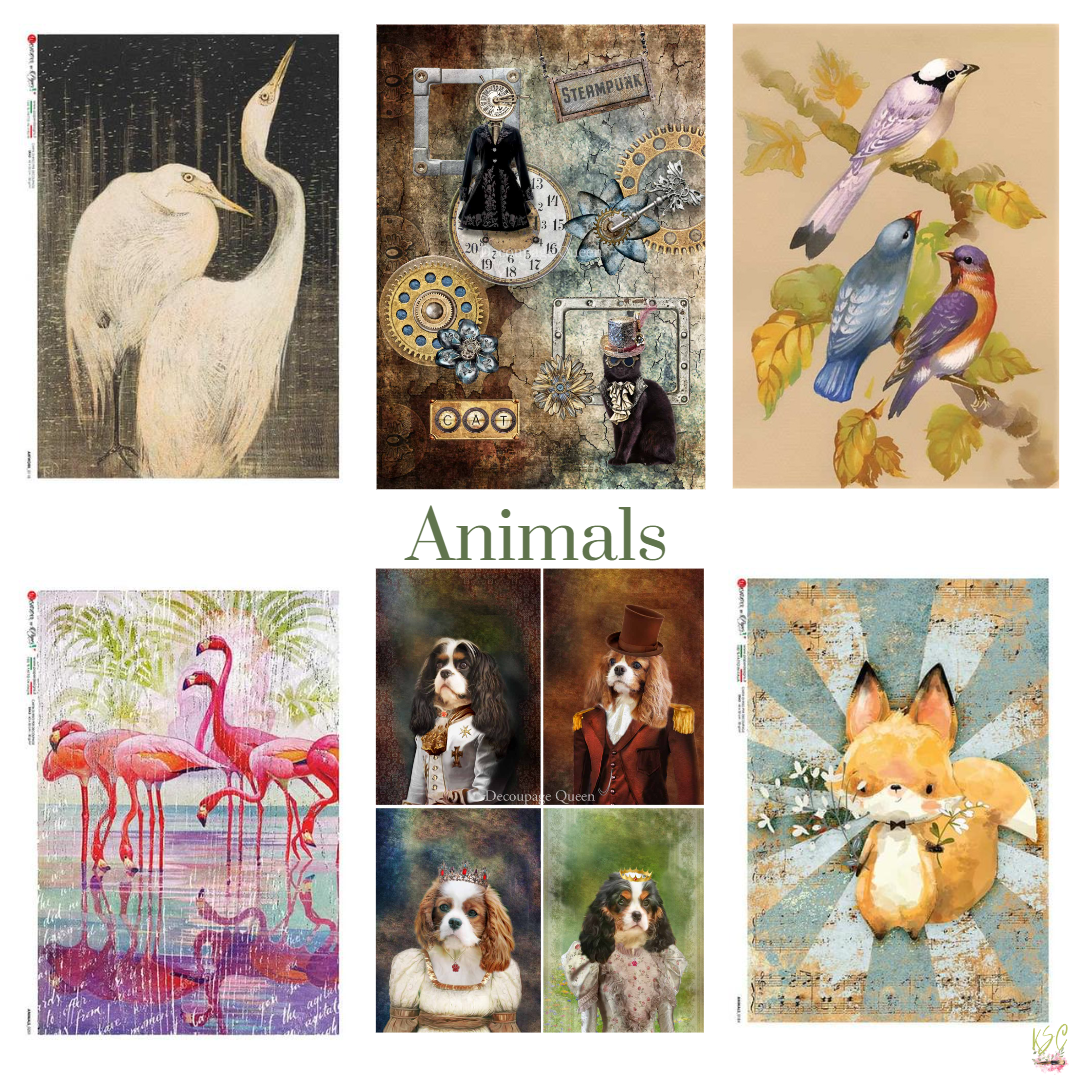 PREORDER | 1st - 10th Monthly | Large Format Rice Paper Decoupage Queen & Washipaper by Paper Designs | Large Decoupage Paper | A0 A1 A2