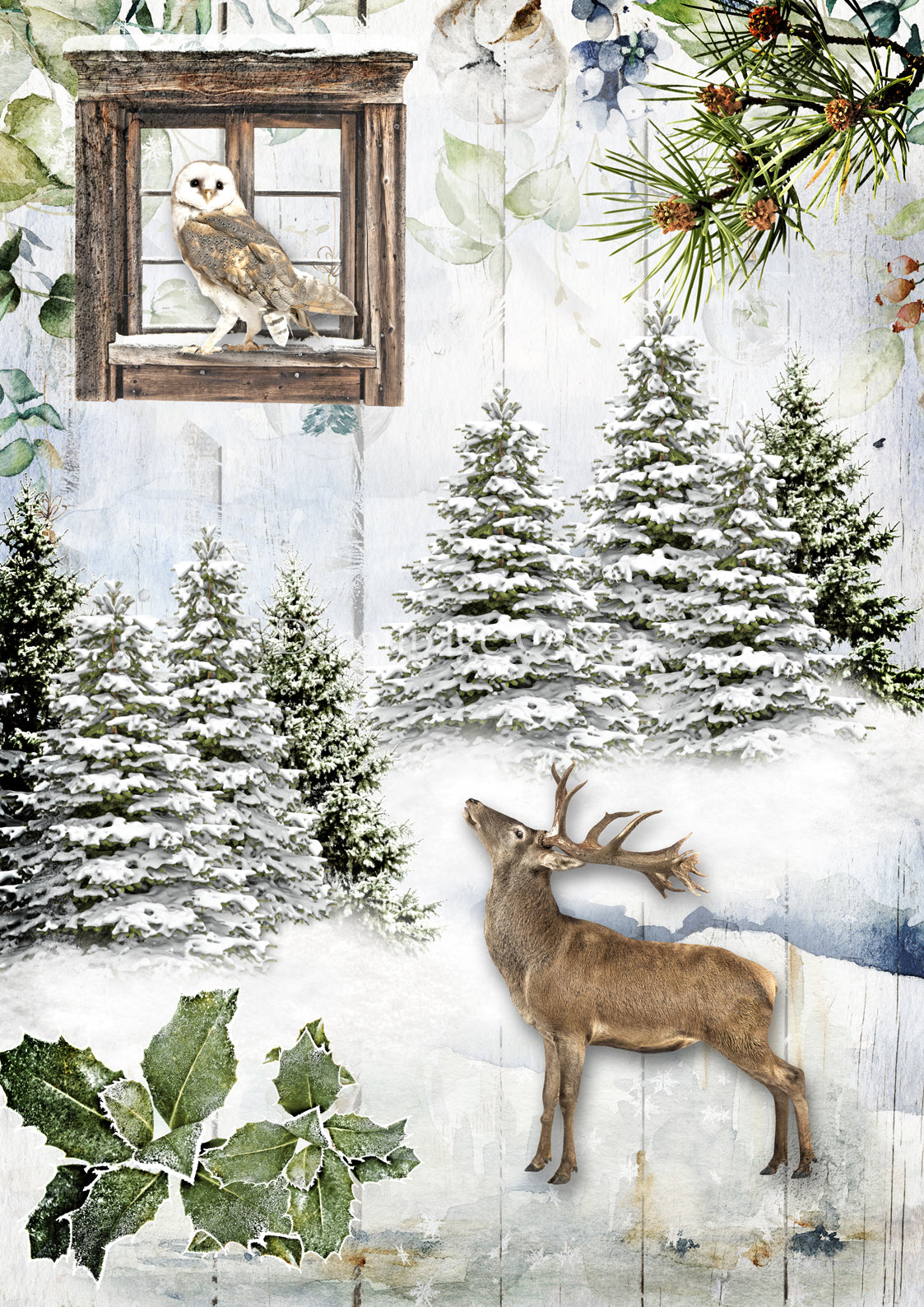 Decoupage Queen Rice Paper Woodland Creatures A4