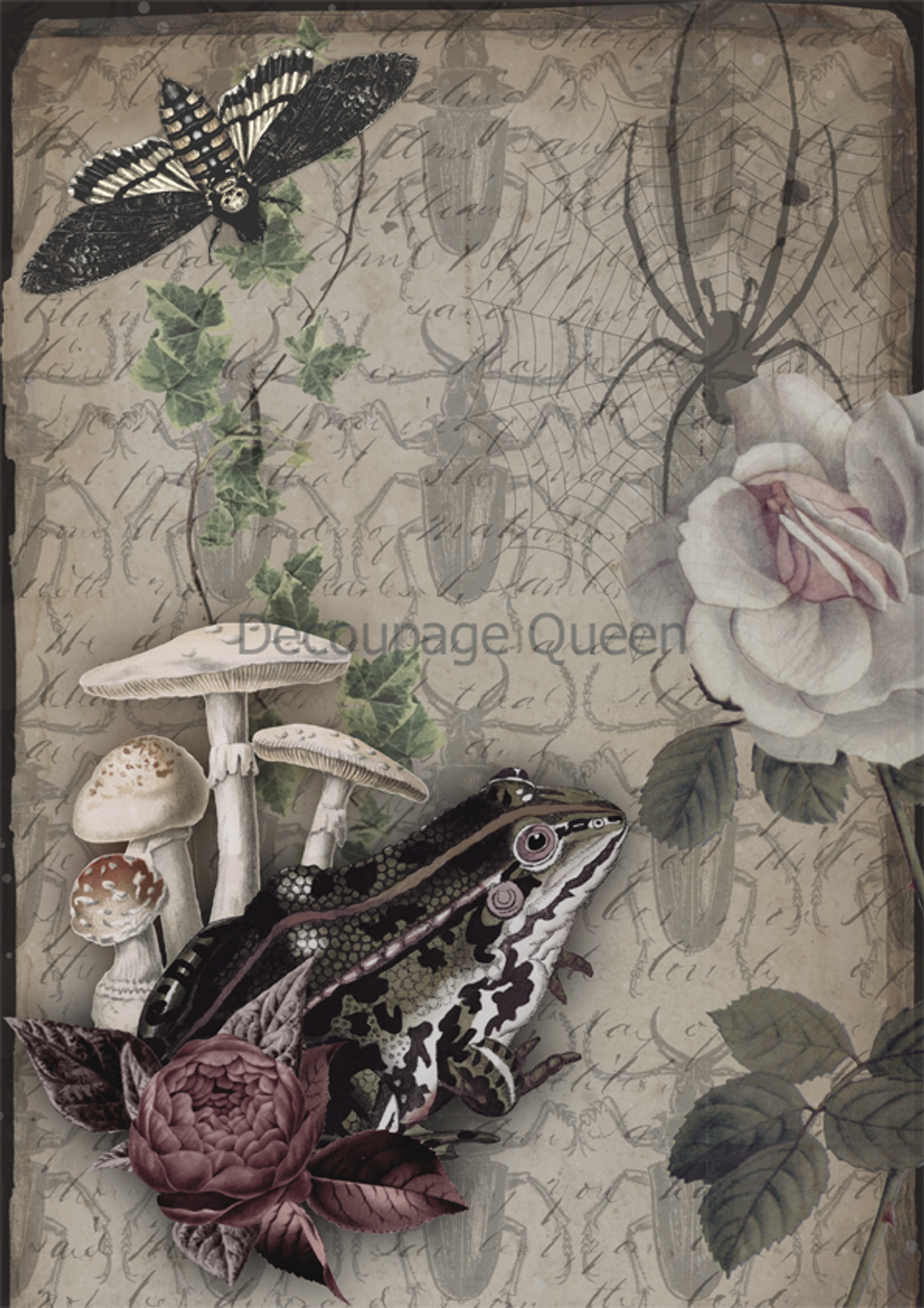 Decoupage Queen A3 & A4 Rice Paper Dainty and the Queen - Diary Entries