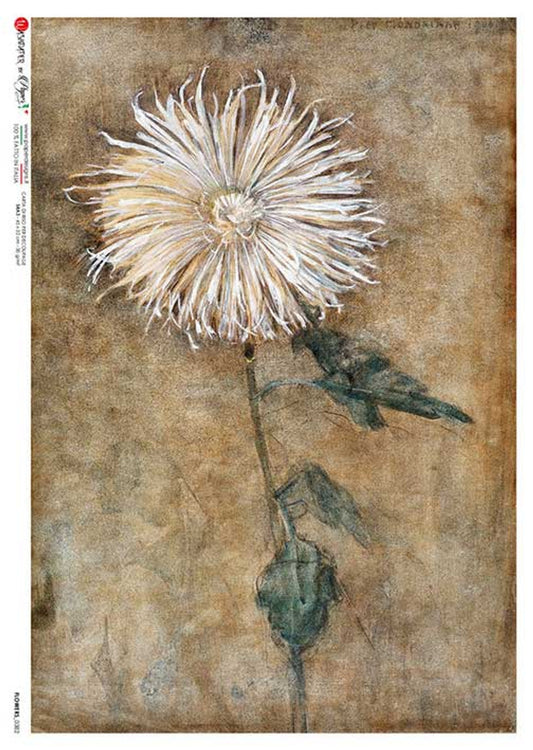 Paper Designs Washipaper A2 Decoupage Rice Paper Flowers 0382