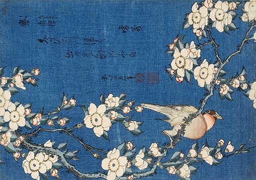 Paper Designs Washipaper A2 Decoupage Rice Paper Animals 0006