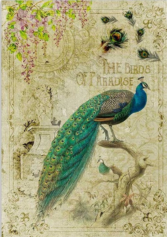 Paper Designs Washipaper A2 Decoupage Rice Paper XL-ANI-0009