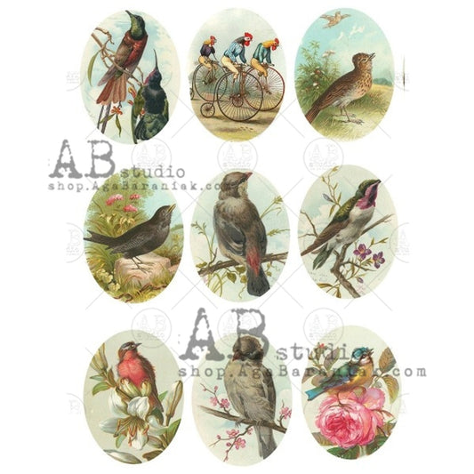 AB Studios A4 Rice Paper for Decoupage 0563
