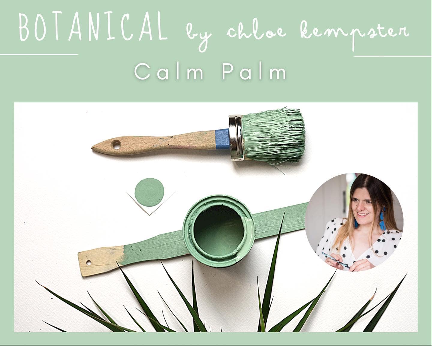 CLOSEOUT SALE! Calm Palm 🌿BOTANICAL by Chloe Kempster | Daydream Apothecary Clay and Chalk Artisan Paint
