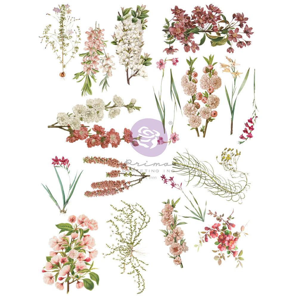 Closeout Sale! Sharon Ziv Transfers - Bloom for DIY Projects, Scrapbooking, Art Journals, Mixed Media, Collage