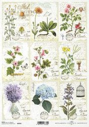 ITD Collection A4 Rice Paper for Decoupage Mini Herbal Cards 2082