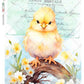 Paper Designs Washipaper A4 Rice Paper for Decoupage Animals 0238