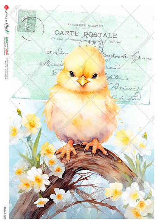 Paper Designs Washipaper A4 Rice Paper for Decoupage Animals 0238