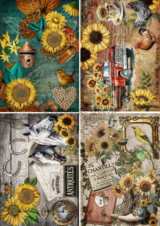 Decoupage Queen A3 Rice Paper Country Sunflower 4-Pack