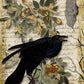 Decoupage Queen A4 Rice Paper Raven Grimoire II