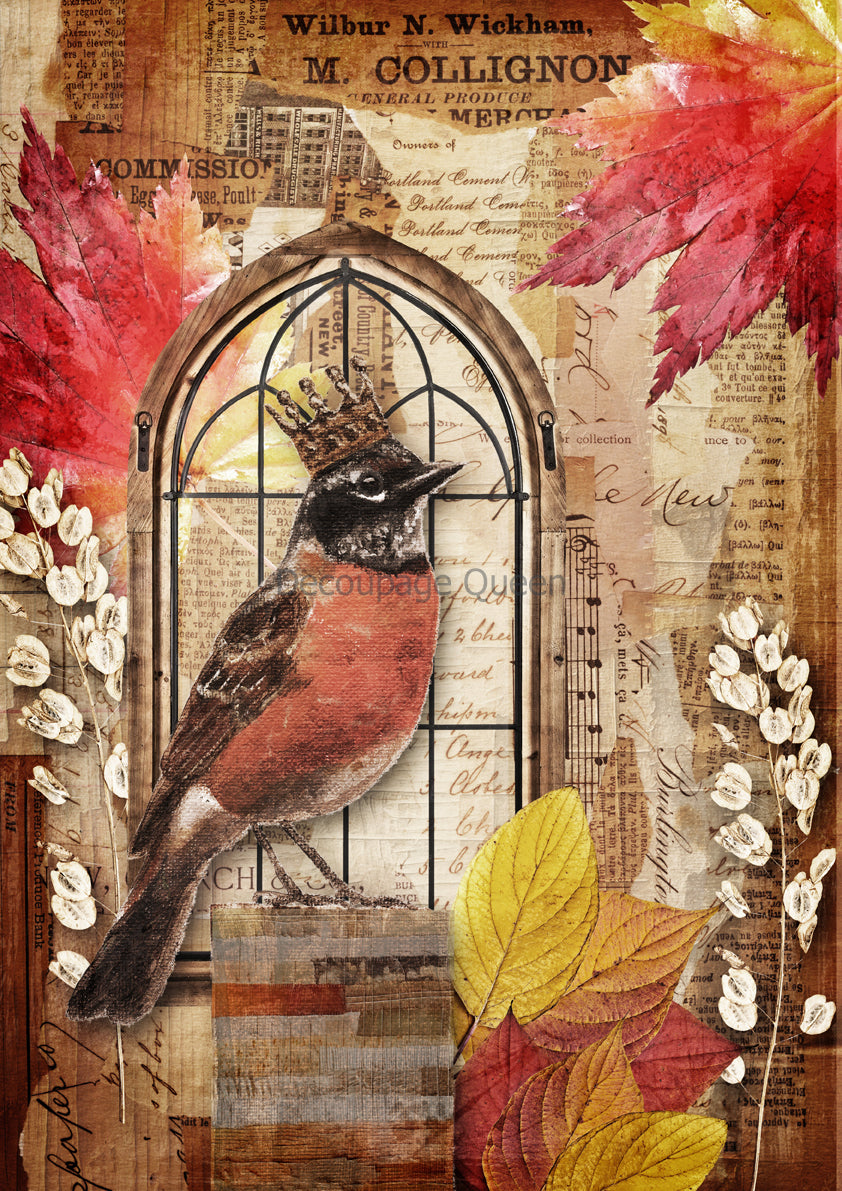 Decoupage Queen A4 Rice Paper Crowned Robin