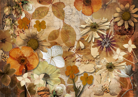 Decoupage Queen A4 Rice Paper Pressed Autumn Flowers