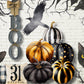 Decoupage Queen A4 Rice Paper Black and White Pumpkins