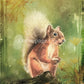 Decoupage Queen A4 Rice Paper Teresa Rene Art Woodland Squirrel