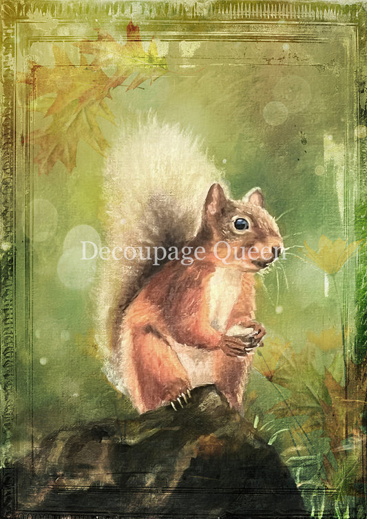 Decoupage Queen A4 Rice Paper Teresa Rene Art Woodland Squirrel