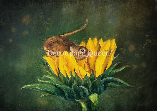 Decoupage Queen A4 Rice Paper Teresa Rene Art Curious Mouse