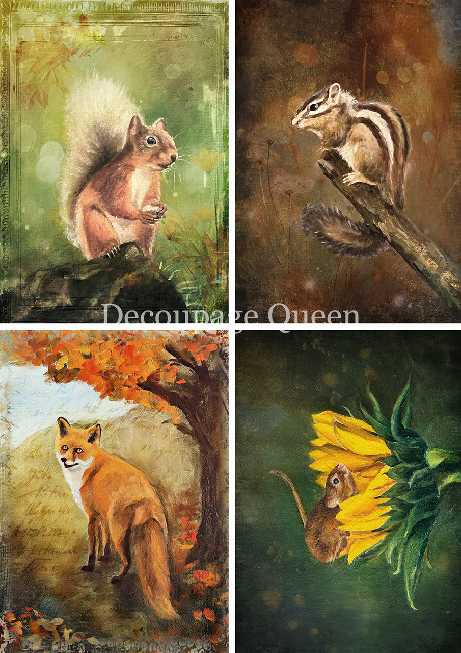 Decoupage Queen A4 Rice Paper Teresa Rene Art Woodland Creatures Four Pack