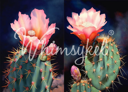Whimsykel Designs 18 lb Decoupage Tissue Paper 21x29" Desert Cactus Duo