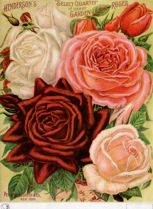 Calambour TT104 A4 Rice Paper for Decoupage