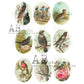 AB Studios A4 Rice Paper for Decoupage 0563