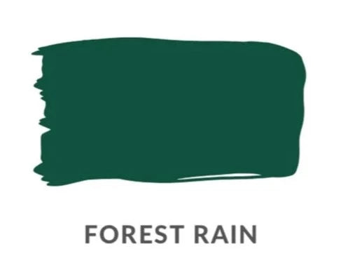 CLOSEOUT SALE! Forest Rain 🌿 BOTANICAL by Chloe Kempster | Daydream Apothecary Clay and Chalk Artisan Paint