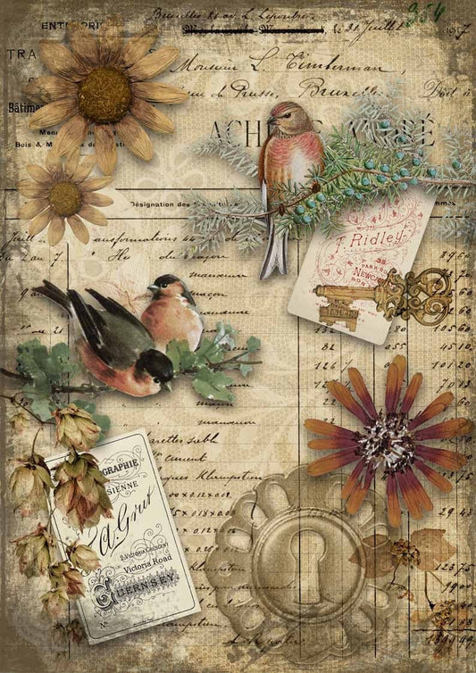 Decoupage Queen A2 & A4 Rice Paper Autumn Birds