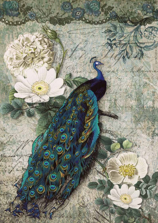 Decoupage Queen Rice Paper Peacock Majesty Rice Paper A0-A4